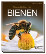 Das große Buch der Bienen - Gay, Jutta; Menkhoff, Inga