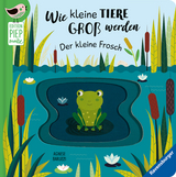 Edition Piepmatz: Wie kleine Tiere gro&szlig; werden: Der kleine Frosch - Gabriele Clima