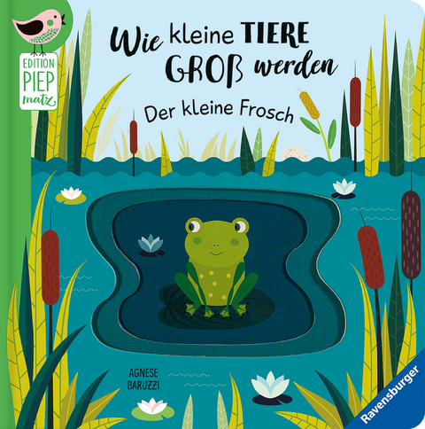 Edition Piepmatz: Wie kleine Tiere gro&szlig; werden: Der kleine Frosch - Gabriele Clima