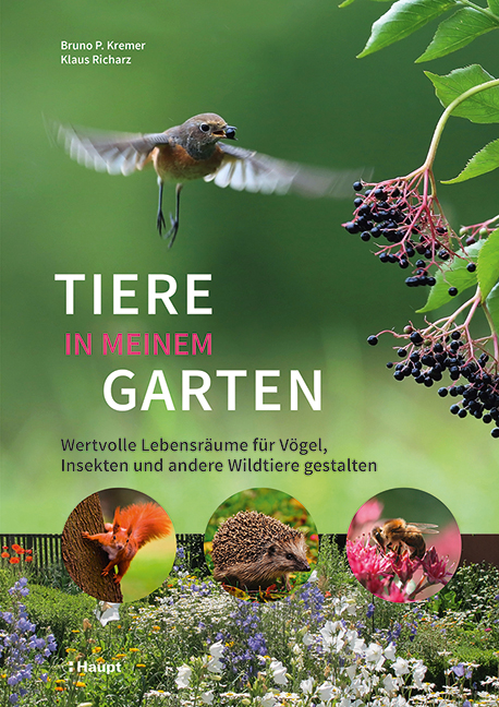 Tiere in meinem Garten - Bruno P. Kremer, Klaus Richarz