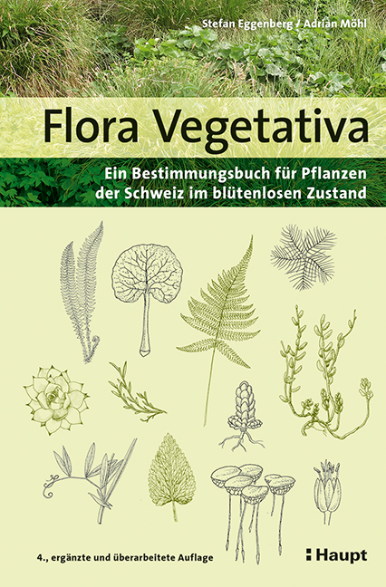 Flora Vegetativa - Stefan Eggenberg, Adrian M&ouml;hl