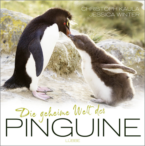 Die geheime Welt der Pinguine - Christoph Kaula, Jessica Winter