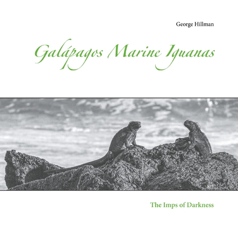 Gal&aacute;pagos Marine Iguanas - George Hillman