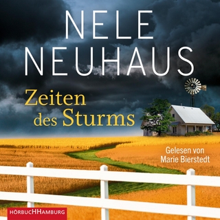 Zeiten des Sturms