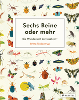 Sechs Beine oder mehr &ndash; Die Wunderwelt der Insekten und Spinnen - Britta Teckentrup