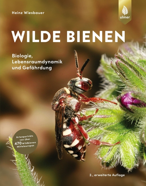 Wilde Bienen - Heinz Wiesbauer