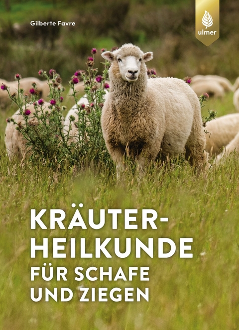 Kr&auml;uterheilkunde f&uuml;r Schafe und Ziegen - Gilberte Favre