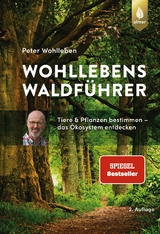 Wohllebens Waldführer - Peter Wohlleben