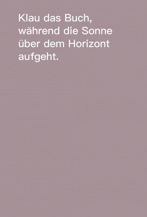 Wie man B&uuml;cher klaut - David Horvitz