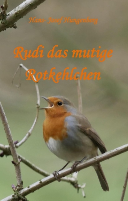 Rudi das mutige Rotkehlchen - Hans-Josef Hungenberg