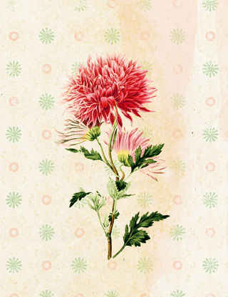 Die Gärten der Künstler Großes Notizheft Motiv Dahlie