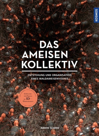 Das Ameisenkollektiv
