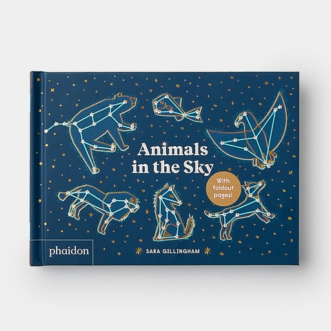 Animals in the Sky - Sara Gillingham