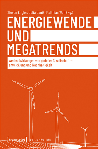 Energiewende und Megatrends