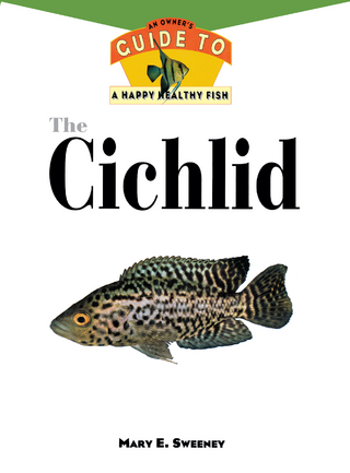 The Cichlid