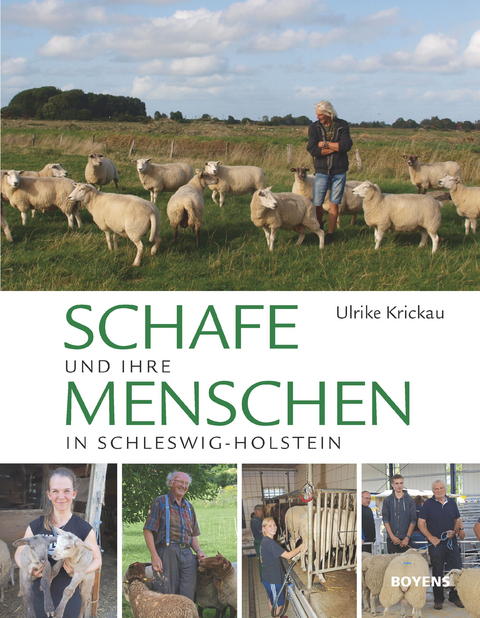 Schafe und ihre Menschen in Schleswig-Holstein - Ulrike Krickau