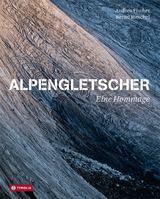 Alpengletscher - Andrea Fischer, Bernd Ritschel