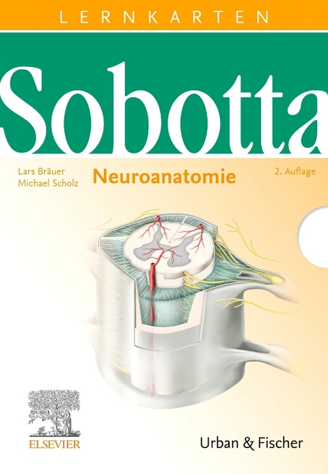Sobotta Lernkarten Neuroanatomie - Lars Br&auml;uer, Michael Scholz