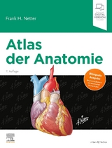 Atlas der Anatomie - Netter, Frank H.; Hammer, Christian M.
