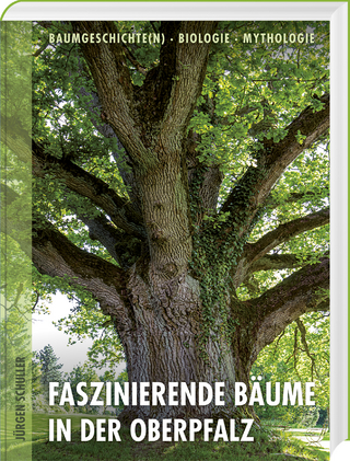 Faszinierende Bäume in der Oberpfalz