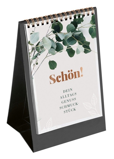 Sch&ouml;n! - Aufstellbuch - Dagmar Herzog