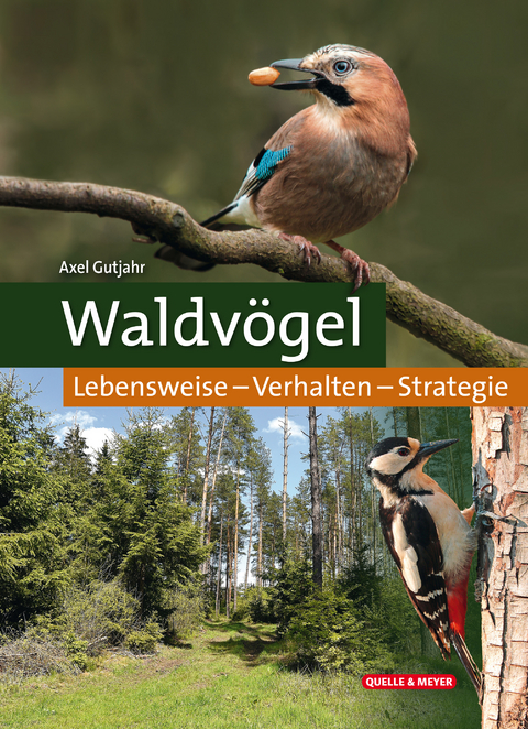 Waldv&ouml;gel - Axel Gutjahr