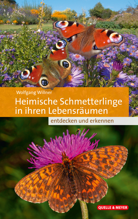 Heimische Schmetterlinge in ihren Lebensräumen - Wolfgang Willner
