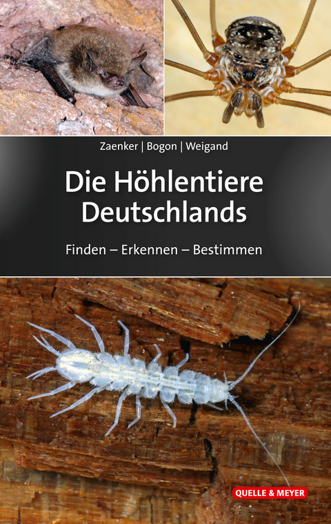 Die H&ouml;hlentiere Deutschlands - Stefan Zaenker, Klaus Bogon, Alexander Weigand