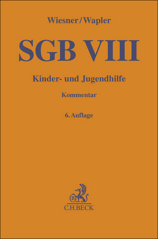 SGB VIII