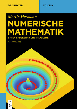 Martin Hermann: Numerische Mathematik / Algebraische Probleme