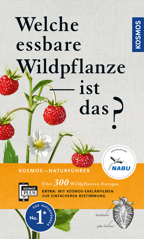 Welche essbare Wildpflanze ist das? - Christa Bastgen, Berko Schr&ouml;der, Zurlutter Stefanie