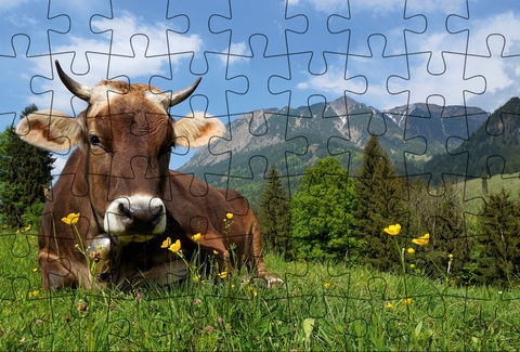 Puzzle-Postkarte Allg&auml;u