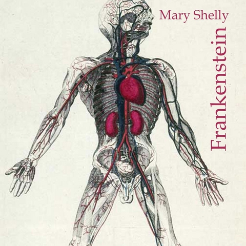 Frankenstein - Mary Shelly