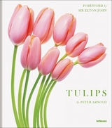 Tulips - Peter Arnold