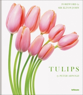 Tulips - Peter Arnold