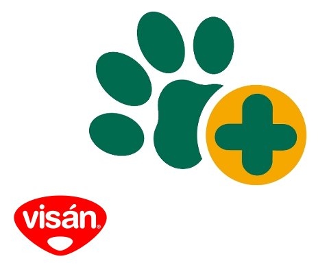 Futtermittelunvertr&auml;glichkeiten bei Hund und Katze - Anja Buchbinder