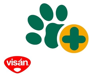 Futtermittelunverträglichkeiten bei Hund und Katze