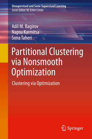 Partitional Clustering via Nonsmooth Optimization
