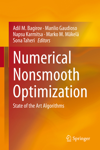 Numerical Nonsmooth Optimization