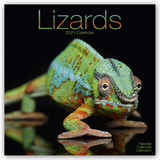 LIZARDS - 