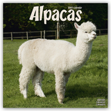 ALPACAS - 