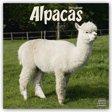 ALPACAS