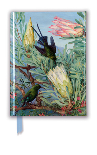 Kew Gardens: Marianne North: Honeyflowers and Honeysuckers (Foiled Pocket Journal)