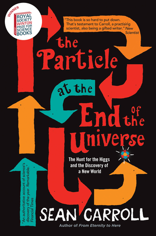 Particle at the End of the Universe