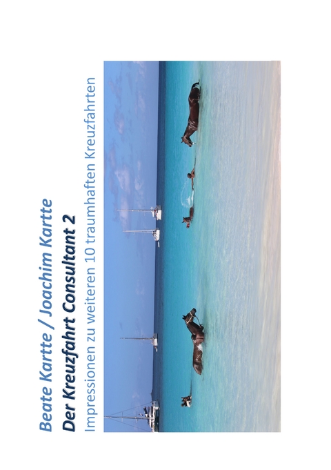 Der Kreuzfahrt Consultant 2 - Beate Kartte, Joachim Kartte