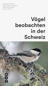 V&ouml;gel beobachten in der Schweiz - Manuel Schweizer, Paul Walser Schwyzer, Mathias Ritschard, Marco Sacchi