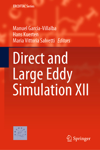 Direct and Large Eddy Simulation XII