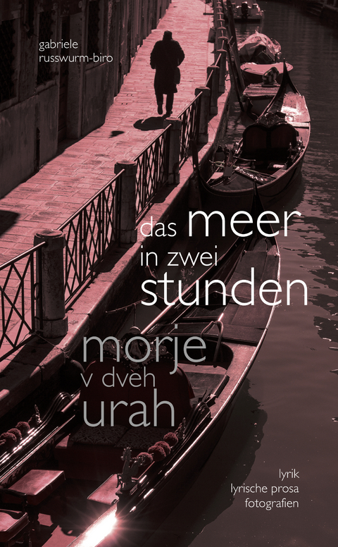 das meer in zwei stunden - Gabriele Russwurm-Biro