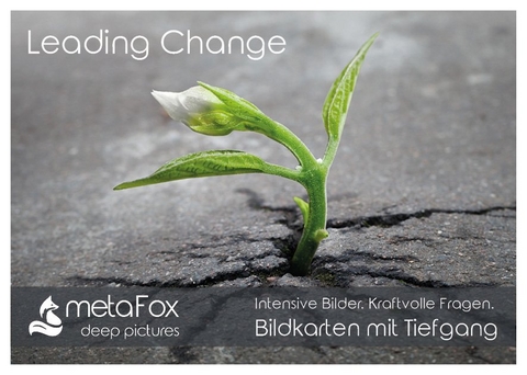 metaFox deep pictures - Leading Change