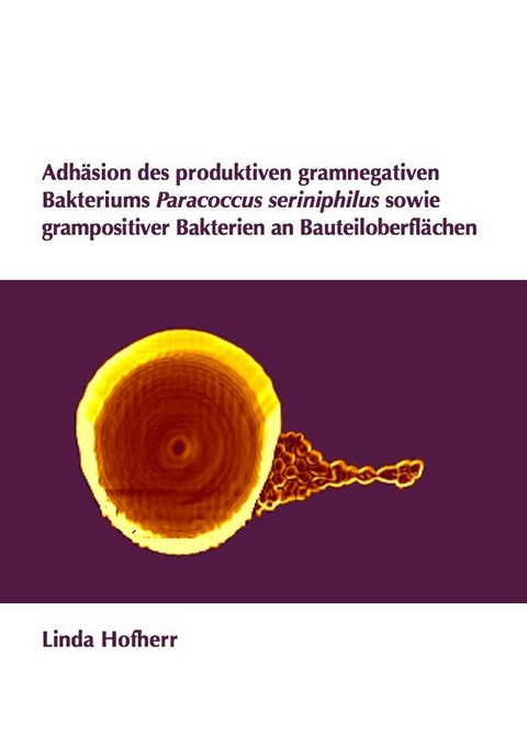 Adh&auml;sion des produktiven gramnegativen Bakteriums Paracoccus seriniphilus sowie grampositiver Bakterien an Bauteiloberfl&auml;chen - Linda Hofherr